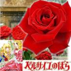 ショッピングバラ バラ大苗 ベルサイユのばら 国産苗 大苗 6号鉢植え メイアン作出