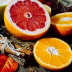  красный лимон фруктовое дерево саженец .....4.5 номер ( диаметр 13.5cm) вечнозеленое дерево горшок земля .. двор 