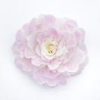 . корень .. -слойный .. примула be Rally na розовый лёд 3 номер ( диаметр 9cm) pot рассада 1 АО цветок рассада зима .. рассада растение в горшке двор .. садоводство .... и т.д. belalina