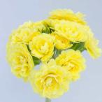  примула поли Anna свежий лимон 3 номер ( диаметр 9cm) pot рассада 1 АО цветок рассада зима .. рассада растение в горшке двор .. садоводство .... и т.д. 