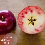  фруктовое дерево рассада яблоко саженец рубин сладкий 1 год сырой .. дерево 4.5 номер ( диаметр 13.5cm) pot рассада фруктовое дерево саженец листопадные растения яблоко 