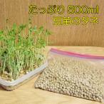 豆苗 スプラウト 種 タネ とうみょう 約500ml 業務用小分け 発芽16〜17回分 日本郵便またはネコポス便！ 野菜