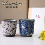 �g������ ��̂� �y�A �Z�b�g ������ �v�w���� �n���m�q �召 �M�t�g �ؔ����� �߂���