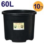 大型 プラ鉢 60リットル鉢 10個入りケース販売 ※代引不可 #60 植木鉢 NPポット 直径52cm/60L(17号鉢相当)
