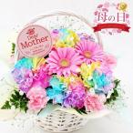 母の日 プレゼント レインボー カーネーション ギフト アレンジメント 生花
