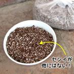 リース専用 こぼれない土 5L(ハンギング土・水やり軽減プランター改良土)