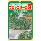 野菜の種 ブロッコリーの芽 健康野菜  優良配送はクリップポストで１０袋まで送料１５０円