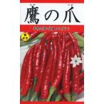  Eagle Talon tougalasi красный острый перец 4 пакет до стоимость доставки 73 превосходный рассылка. зажим post . стоимость доставки 185 иен 