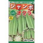 野菜の種 ジャンボオクラ ダビデの星 2袋まで送料73円 優良配送はクリップポストで送料185円