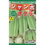 野菜の種 ジャンボオクラ ダビデの星 ２袋まで送料７３円 優良配送はクリップポストで送料185円