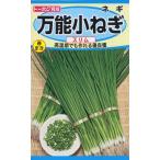  овощи. вид лук-батун универсальный маленький лук порей тонкий 4 пакет до стоимость доставки 73 иен превосходный рассылка. зажим post . стоимость доставки 185 иен 