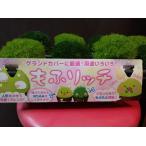 サギナ アイリッシュモス もふリッチ 玄関、居間などの半日蔭に　グランドカバーに