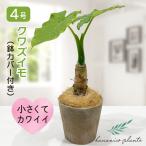 商品画像1