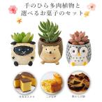 プリザーブドフラワー 花 ギフト プレゼント 花とスイーツセット アレンジメント カステラ わらび餅 こがね芋 誕生日 お祝い フラワーギフト