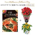 母の日 父の日 ギフト プレゼント 花 鉢植え カーネーション ひまわり 5号鉢 東北〜関東〜関西送料無料 カタログギフト 新鮮グルメ直送便 煌コース 鉢花