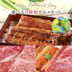 ショッピングうなぎ 父の日 父の日 ギフト 国産 うなぎ蒲焼き うなぎ ウナギ 鰻  冷凍食品 食べ物 プレゼント バラ 黄色 花 造花付