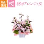 ショッピング花 花 フラワーアレンジ 誕生日 ギフト 桜アレンジ バレンタイン ホワイトデー 卒業式 生花 プレゼント 生花アレンジメント さくら