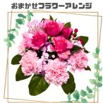 母の日 2025 花 送料無料 カーネーション フラワーギフト プレゼント 誕生日 生花 旬のおまかせアレンジメント