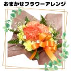母の日限定 2025 花 送料無料 カーネーション フラワーギフト プレゼント 誕生日 生花 旬のおまかせアレンジメント