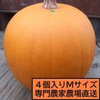  Halloween Jack o- фонарь для тыква средний шар вид M 2kg 4 шт. комплект 