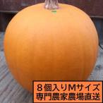  Halloween Jack o- фонарь для тыква средний шар вид M 2kg 8 шт. комплект 