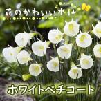 花のかわいいミニ水仙球根3球スイセ...