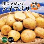 アイマサリ 種じゃがいも 約500g