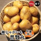  вид картофель .. круг ..... примерно 500g* большой маленький Mix * осень ... осень .. лошадь колокольчик . семенной клубень огород цветок. Yamato 