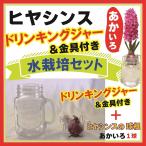  гиацинт вода культивирование комплект do Lynn King ja- specification .... красный красный луковица комплект интерьер .. для цветок. Yamato 