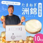  шар лук порей Awaji Island [ синий .]10kg..(.....) лук репчатый tama лук-батун oni on onion Awaji Island производство [ бесплатная доставка ]