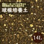  луковица. земля cубстрат 14L культивирование садоводство садоводство для земля для земля Blend сочетание земля луковица простой садоводство сырой . гарантия водный осушение ... изменение .. включая культивирование луковица cубстрат 