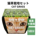  кошка . культивирование комплект легкий простой культивирование кошка . нравится ..... кошка ..neko декоративное растение cat grass. пшеница семена пестициды не использование цветок. Yamato 