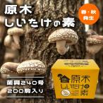 . дерево ..... элемент ..240 номер 200 пешка [ весна * осень появление ]. дом ... . медленно ... природа культивирование .. шиитаке большой 