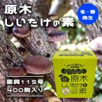 . дерево ..... элемент ..115 номер 400 пешка [ зима * весна появление ]. дом ... . медленно ... природа культивирование .. шиитаке супер толщина мясо jumbo ..