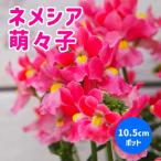 商品画像2