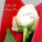 メッセージローズ 1本 送料無料 25文字以内で薔薇の花弁に印字できます /メッセージローズ/バラ/ばら/薔薇/花束
