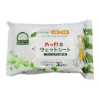 ショッピングハッカ油 [三和通商]　EVERYPLUS+　ハッカ油ウエットシート　30枚入　 フロア用ウエットシート 掃除 フローリング 天井 壁 網戸 エアコン 油汚れ