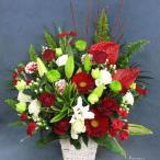 [ время ограничено ] цветок темно синий ракушка ju тщательно отобранный цветок магазин. Рождество цвет аранжировка цветок 15000 иен название . бесплатный Tokyo Osaka Nagoya впервые вся страна доставка 