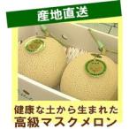 メロン 贈答 お中元 プレゼント 渥美半島 健康な土から生まれた渥美産高級マスクメロン 2Lサイズ 《2玉セット》:送料無料:わけありではありません!