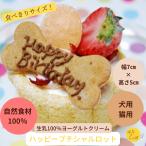 小型犬向け☆ハッピープチシャルロット