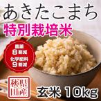 玄米 令和6年産米 秋田県産 あきたこまち 特別栽培米 10kg 農薬8割減 化学肥料9割減 慣行栽培比 農家直送