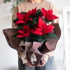 | упаковка бесплатный акция средний |po in se Cheer растение в горшке [je Star красный 5 номер горшок ] бесплатная доставка Рождество Xmas горшок рассада подарок Рождество украшение орнамент 