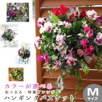 ショッピング鉢 花うるる おまかせハンギング 寄せ植え Ｍサイズ(4月から11月まで開花) (春 夏 セット ギフト 花 鉢 寄植え 鉢植え 壁掛け ハンギングバスケット