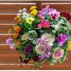 ショッピング正月 お正月飾り 葉ボタンのハンギングバスケット寄せ植え[雪花(ゆきはな]Mサイズ│葉牡丹 ビオラ 正月 しめ縄 しめ飾り しめ縄飾り 屋外 おしゃれ 正月飾り 玄関