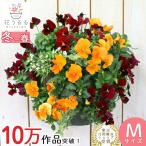 ビオラのハンギングバスケット 花うるる 寄せ植え [オレンジベリー] Mサイズ シンプル| 玄関 フラワーギフト 誕生日 プレゼント 女性 母 花 おしゃれ