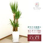 商品画像3