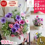 母の日 まだ間に合う 花うるる 寄せ植え 送料無料「カーネーション アレンジ Lサイズ」(プレゼント ペチュニア サフィニア 鉢植え おしゃれ 鉢 フラワーギフト