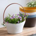 ＼酷暑でも元気に満開／ 花うるる 寄せ植え『スーパー