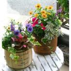 Yahoo! Yahoo!ショッピング(ヤフー ショッピング)ナチュラル感たっぷり かわいい「ミニ樽（たる）型プランター」（ 花は付属しません） 5号鉢サイズ・インナーカップ付