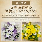 花 お供え お悔み お彼岸 お盆 初盆 アレンジメント 即日発送 喪中お見舞い 送料無料 法事 命日 生花